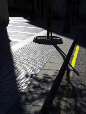 shadows street.jpg